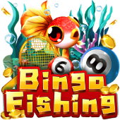 Câu Cá Bingo - p66 login